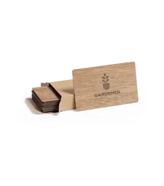 Set Tarjetas