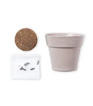 Maceta