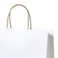 Bolsa Cynthia