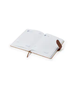 Agenda