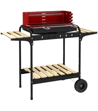 Barbacoa de Carbón