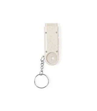 Llavero Moneda