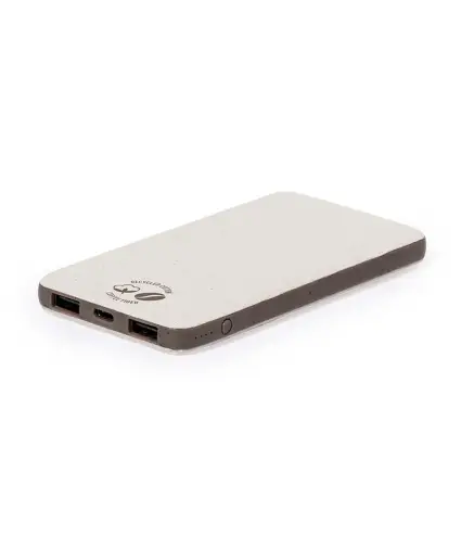 Power Bank Mayer