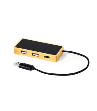 Puerto USB Ginger