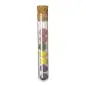 Set Bombónes Semillas Dinaclex