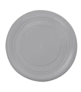 Frisbee Girud