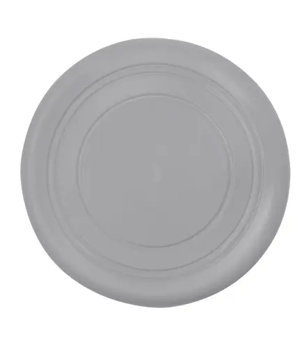 Frisbee Girud