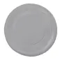 Frisbee Girud