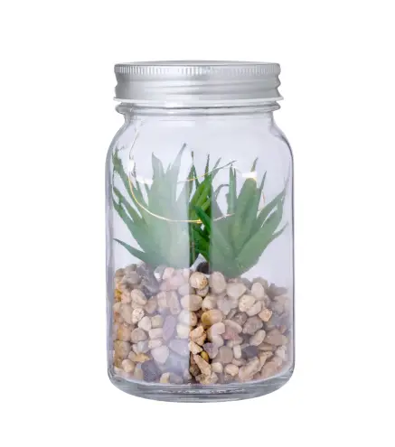 Planta Decorativa