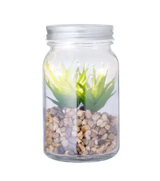 Planta Decorativa Kyala