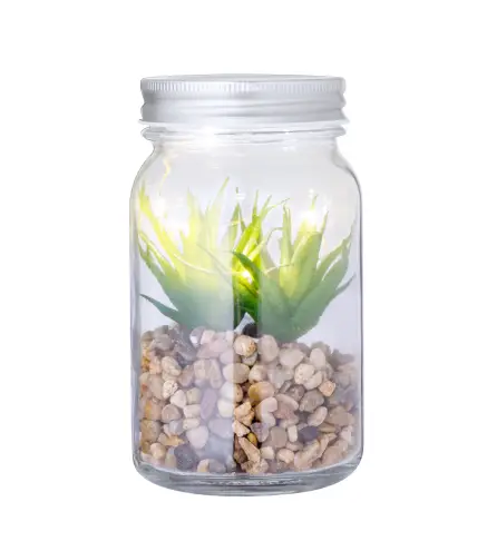 Planta Decorativa Kyala