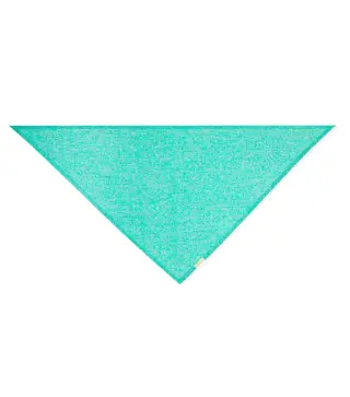 Panoleta