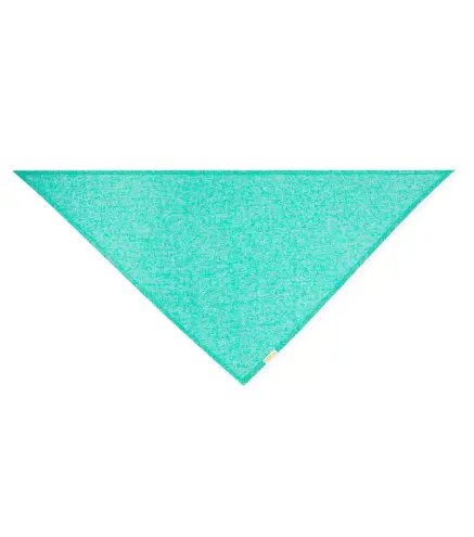 Panoleta