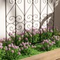 Enrejados de Jardín Enrejados de Jardín