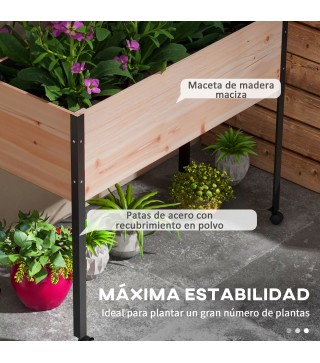 Mesa de Cultivo