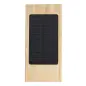Power Bank Molden