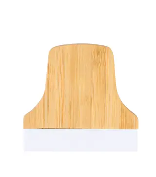Pinza