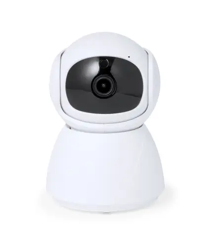 Camara Inteligente