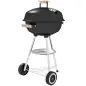 Barbacoa de Carbón Vegetal con Ruedas Parilla de Carbón BBQ Portátil Tapa y Tazón Esmaltados Mangos de Madera 48x56x94 cm para J Barbacoa de Carbón Vegetal con Ruedas Parilla de Carbón BBQ Portátil Tapa y Tazón Esmaltados Mangos de Madera 48x56x94 cm para J