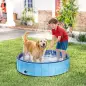 Piscina para Perros Grandes Plegable con Aspersor de PVC Antideslizante Resistente al Desgaste Ø120x30 cm Azul Claro