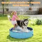 Piscina para Perros Grandes Plegable con Aspersor de PVC Antideslizante Resistente al Desgaste Ø120x30 cm Azul Claro
