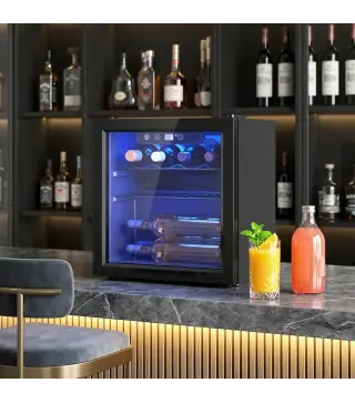 Vinoteca 12 Botellas Nevera para Vinos con Capacidad de 36 L Temperatura Ajustable 4-16℃ Puerta de Vidrio Luz LED Negro