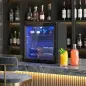 Vinoteca 12 Botellas Nevera para Vinos con Capacidad de 36 L Temperatura Ajustable 4-16℃ Puerta de Vidrio Luz LED Negro
