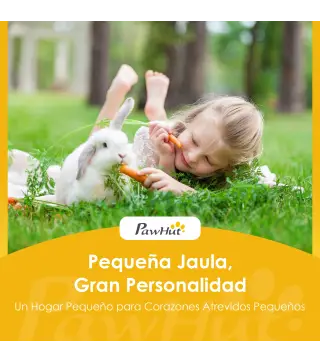 Conejera de Madera, Jaula para Conejos Medianos con Techo Asfáltico Abatible Bandeja Extraíble Puerta con Pestillo Gris