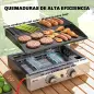 Barbacoa de Gas con 2 Quemadores 5 kW Barbacoa Portátil con Plancha Rejilla Calentadora y Recogedor Grasa Negro