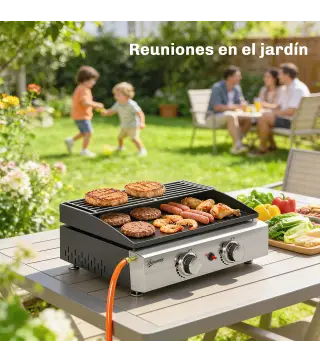 Barbacoa de Gas con 2 Quemadores 5 kW Barbacoa Portátil con Plancha Rejilla Calentadora y Recogedor Grasa Negro