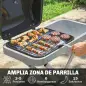 Barbacoa de Gas Plegable con Quemador 2,5 kW Tapa Termómetro Mesa Lateral y 2 Ruedas Parrilla Recogedor Grasa Negro