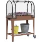 Mesa de Cultivo