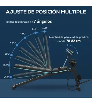 Banco de Musculación Plegable con Respaldo Regulable Extensión de Pierna Cojín de Predicador Banda 160x54x106 cm Negro