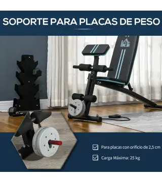 Banco de Musculación Plegable con Respaldo Regulable Extensión de Pierna Cojín de Predicador Banda 160x54x106 cm Negro