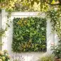 Seto Artificial Ocultación Jardín en Rollo 1x1 m Valla de Privacidad de Hiedra Artificial para Balcón Exterior Seto Artificial Ocultación Jardín en Rollo 1x1 m Valla de Privacidad de Hiedra Artificial para Balcón Exterior