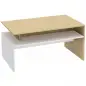 Mesa baja para Salón con Compartimento para Salón Sala de Estar 95x55x50 cm Natural y Blanco