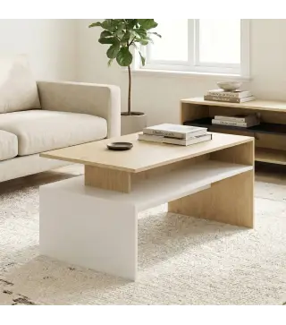 Mesa baja para Salón con Compartimento para Salón Sala de Estar 95x55x50 cm Natural y Blanco