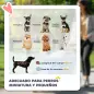 Carrito para Perros Pequeños con 4 Ruedas Freno Cesta Capota Correas de Seguridad y Ventanas 67x45x96 cm Gris Claro