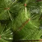 Árbol de Navidad 210cm, Artificial Árbol de Pino, Decoración Navideña, con Soporte Metálico, 505 Ramas con Puntas Acentuadas en Árbol de Navidad 210cm, Artificial Árbol de Pino, Decoración Navideña, con Soporte Metálico, 505 Ramas con Puntas Acentuadas en