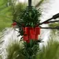 Árbol de Navidad 210cm, Artificial Árbol de Pino, Decoración Navideña, con Soporte Metálico, 505 Ramas con Puntas Acentuadas en Árbol de Navidad 210cm, Artificial Árbol de Pino, Decoración Navideña, con Soporte Metálico, 505 Ramas con Puntas Acentuadas en