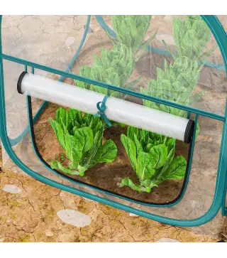 Mini Invernadero Plegable Pop-up Invernadero de Exterior con Puerta Enrollable y Cubierta Transparente