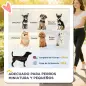 Carrito para Perros Pequeños con Cesta de Almacenaje Ventanas de Malla y Cinturón de Seguridad 77x44x102 cm Azul Carrito para Perros Pequeños con Cesta de Almacenaje Ventanas de Malla y Cinturón de Seguridad 77x44x102 cm Azul