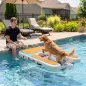 Rampa de Agua Hinchable para Perros para Piscina Barcos Lagos 151x102 cm con Superficie Antideslizante de EVA Rampa de Agua Hinchable para Perros para Piscina Barcos Lagos 151x102 cm con Superficie Antideslizante de EVA