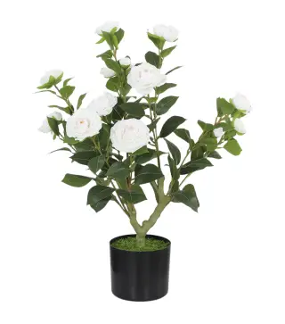 Planta Artificial de Camelia 65cm Árbol Artificial en Maceta con Flores de Seda Realistas 116 Hojas Efecto Musgo Blanco