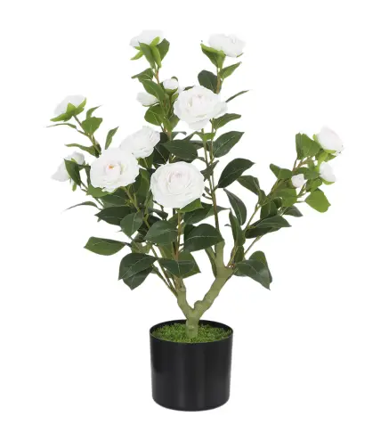 Planta Artificial de Camelia 65cm Árbol Artificial en Maceta con Flores de Seda Realistas 116 Hojas Efecto Musgo Blanco