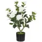 Planta Artificial de Camelia 65cm Árbol Artificial en Maceta con Flores de Seda Realistas 116 Hojas Efecto Musgo Blanco