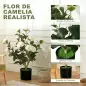 Planta Artificial de Camelia 65cm Árbol Artificial en Maceta con Flores de Seda Realistas 116 Hojas Efecto Musgo Blanco