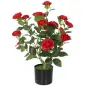 Planta Artificial de Camelia 65 cm Árbol Artificial en Maceta con Flores de Seda Realistas 116 Hojas Efecto Musgo Rojo Planta Artificial de Camelia 65 cm Árbol Artificial en Maceta con Flores de Seda Realistas 116 Hojas Efecto Musgo Rojo