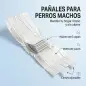 Pañales Desechables para Perros Machos 48 Unidades Súper Absorbentes Antifugas para Cachorros Talla M Pañales Desechables para Perros Machos 48 Unidades Súper Absorbentes Antifugas para Cachorros Talla M