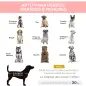 Cama Elevada para Perros Gatos Portátil Cama para Mascotas con Zona de Malla Transpirable y Tela Oxford para Interior Exterior 9 Cama Elevada para Perros Gatos Portátil Cama para Mascotas con Zona de Malla Transpirable y Tela Oxford para Interior Exterior 9
